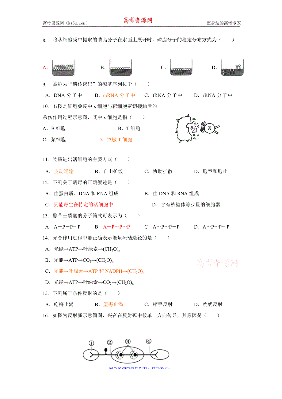 上海市金山中学2015-2016学年高二下学期期末考试生命科学试题（合格考） WORD版含答案.doc_第2页