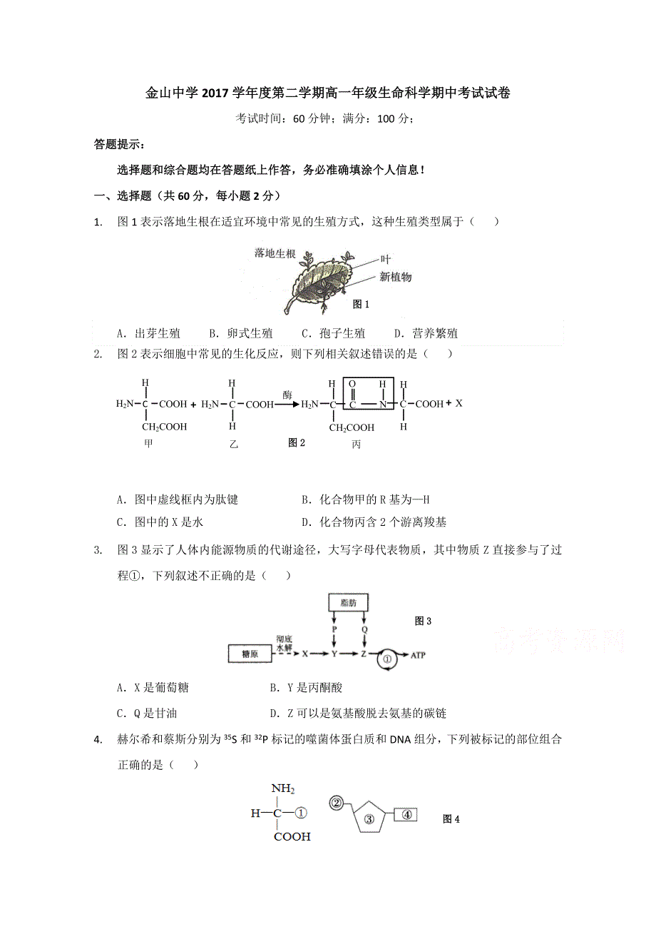 上海市金山中学2017-2018学年高一下学期期中考试生命科学试题 WORD版含答案.doc_第1页