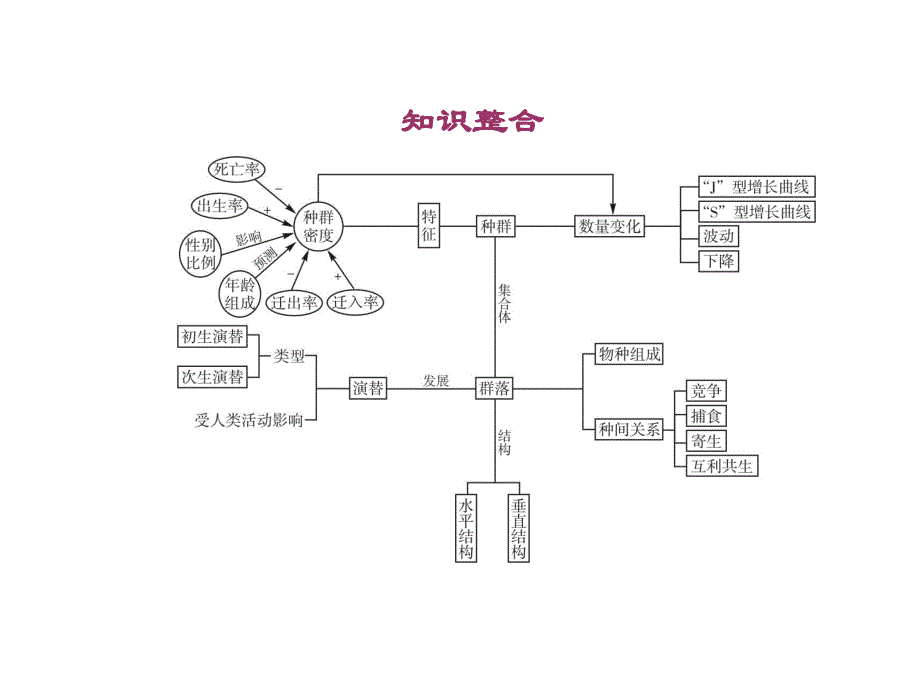 14-15高中生物课件人教版必修3 第4章 种群和群落 章末整合课件（人教版必修3）.ppt_第2页