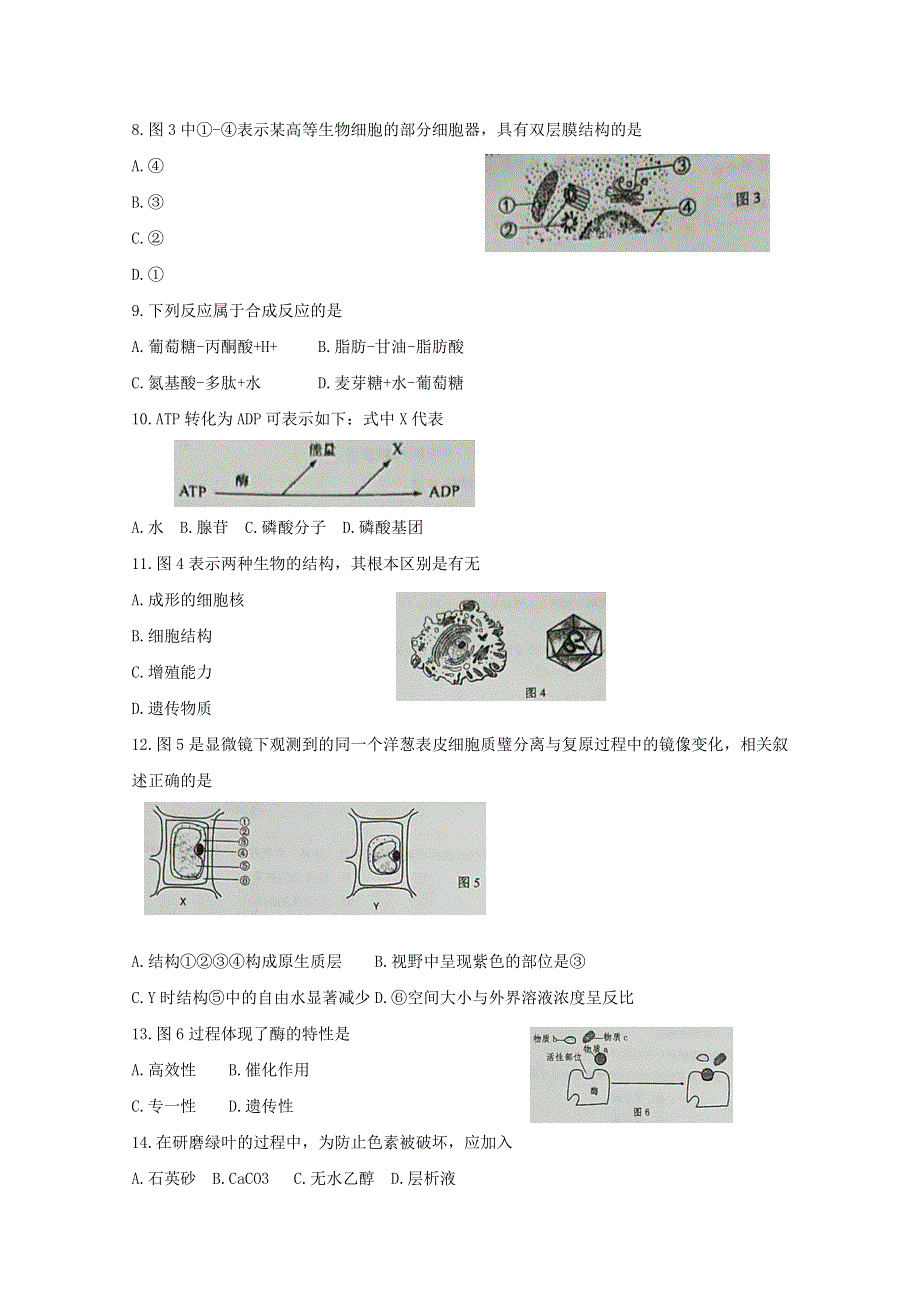 上海市金山中学2018-2019学年高一下学期期末考试 生物（合格考）WORD版含答案BYFENG.doc_第2页