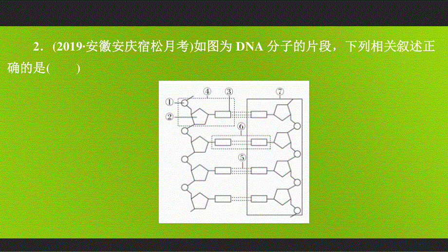 2020年高考生物一轮复习（创新版）课件：必修2 第6单元 遗传的物质基础 第19讲 课后作业 .ppt_第3页