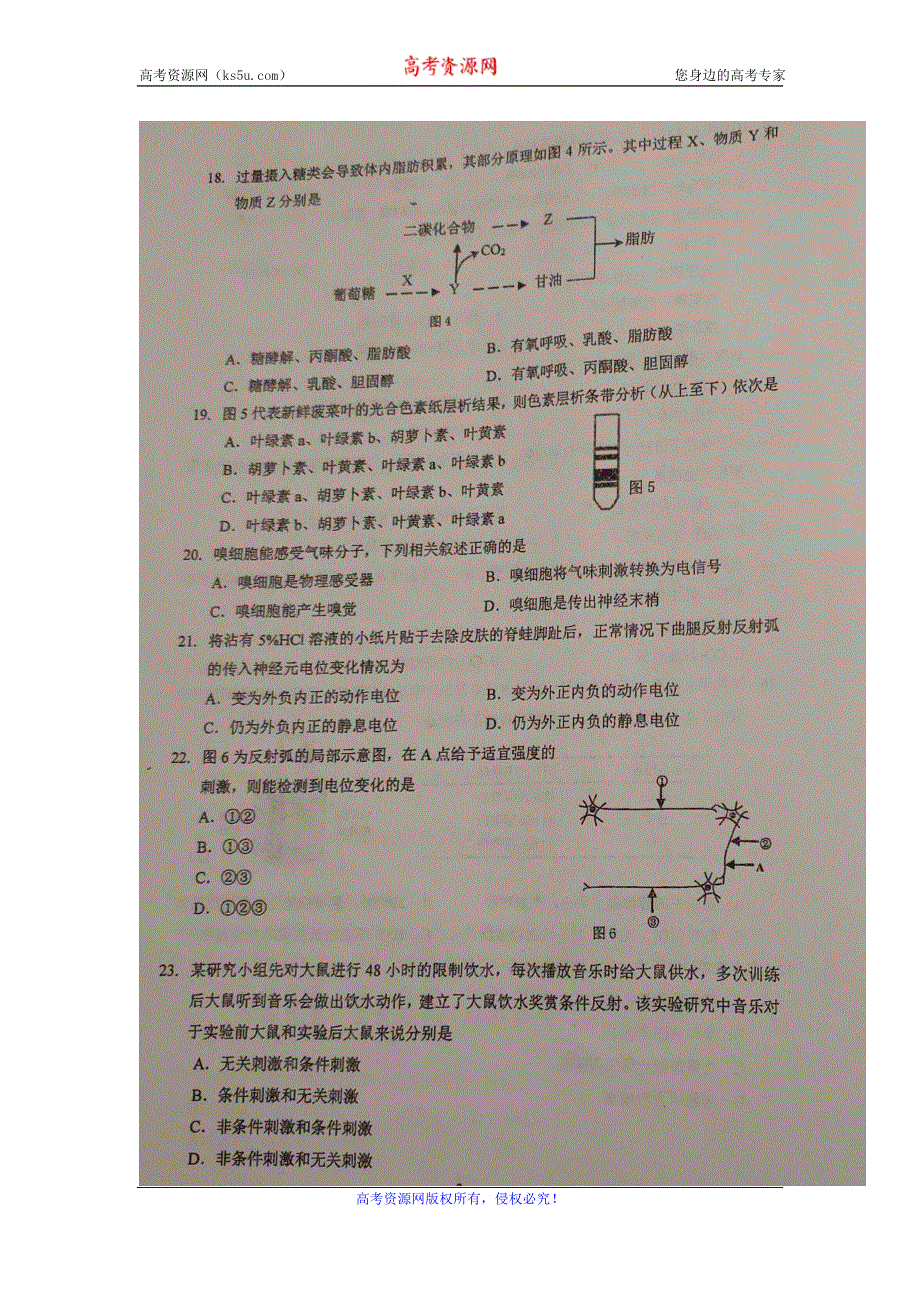 上海市金山中学2019-2020学年高一上学期期末考试生物试题 扫描版含答案.doc_第3页