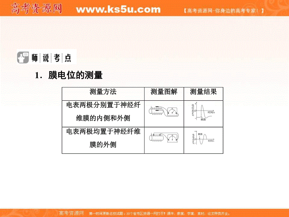 2020年高考生物（人教版）总复习课件：第八单元 热点题型十一 膜电位测量与电流表偏转问题 .ppt_第2页