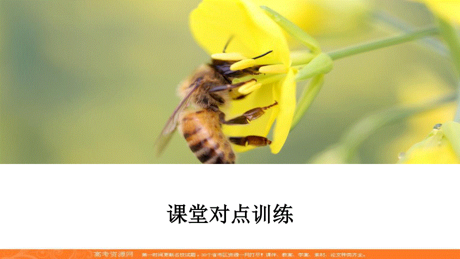 2019-2020学年新一线突破人教版生物选修一课件：专题1 课题3 制作泡菜并检测亚硝酸盐含量 .ppt_第2页