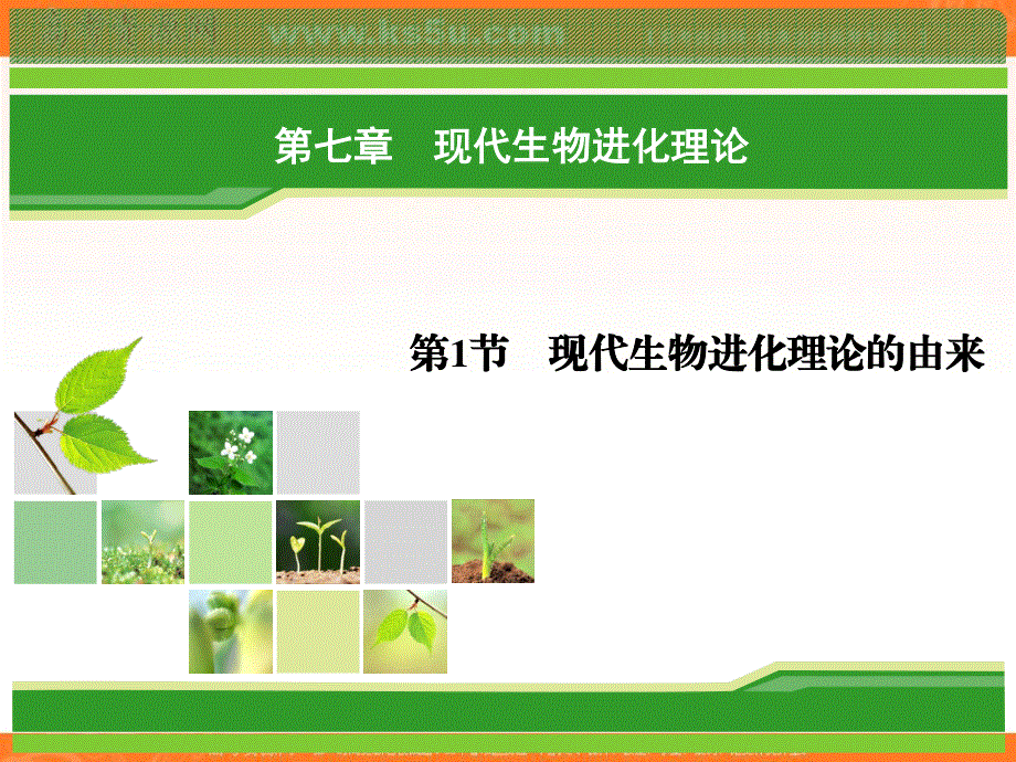 2018年生物同步优化指导（人教版必修2）课件：第7章 第1节 现代生物进化理论的由来 .ppt_第1页