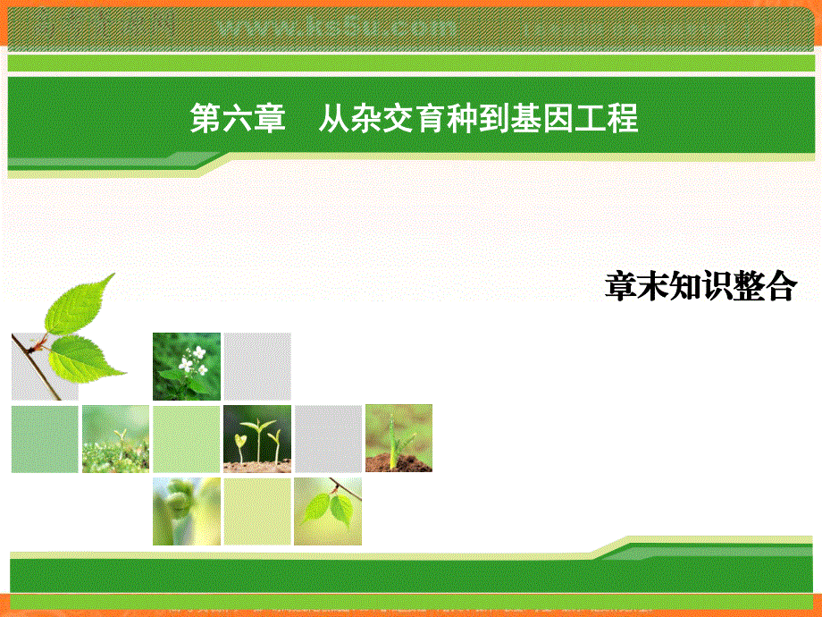 2018年生物同步优化指导（人教版必修2）课件：章末知识整合6 .ppt_第1页