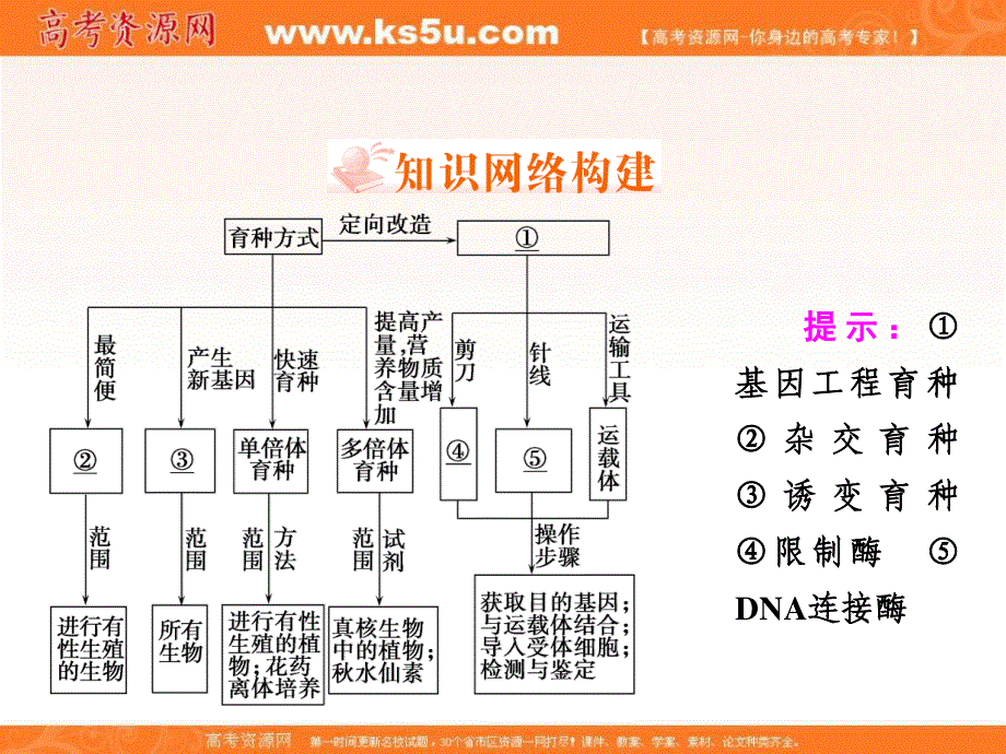 2018年生物同步优化指导（人教版必修2）课件：章末知识整合6 .ppt_第2页