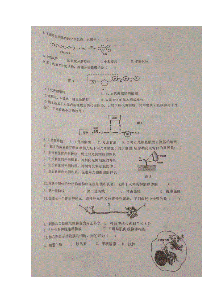 上海市金山中学2019-2020学年高一生物下学期期中试题（扫描版）.doc_第2页