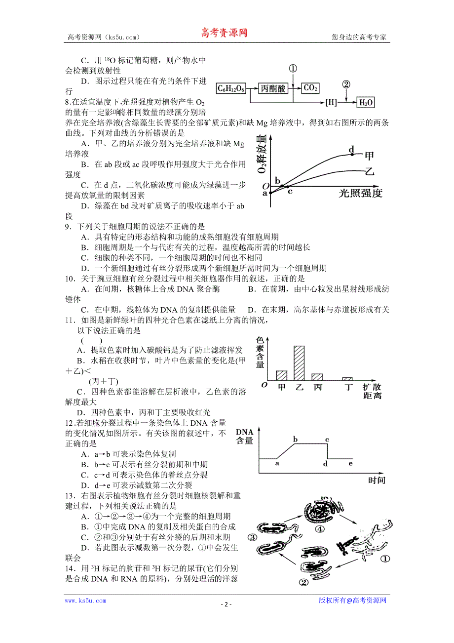 [原创]高三生物单元测试光合与呼吸、增殖与分化、减数与受精.doc_第2页