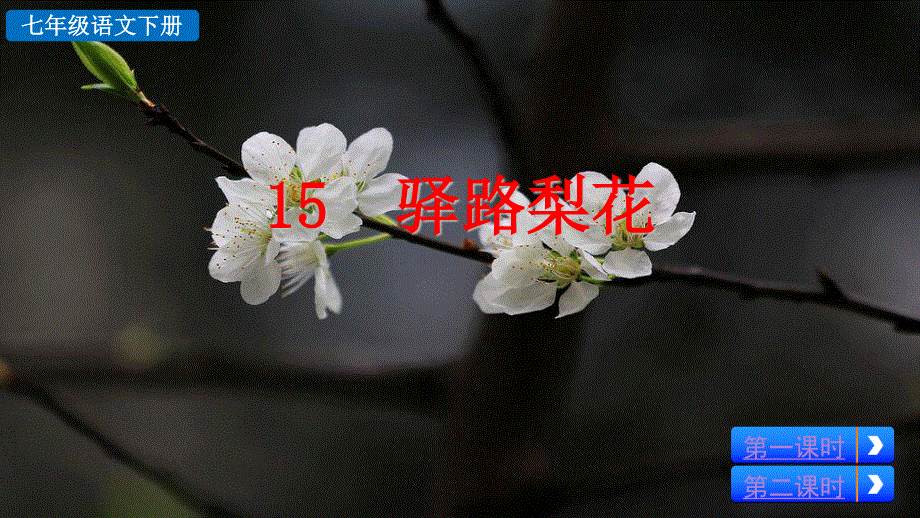 15 驿路梨花2精品课件（部编七下语文）.pptx_第2页