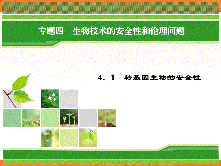 2018年生物同步优化指导（人教版选修3）课件：4-1 转基因生物的安全性 .ppt_第1页