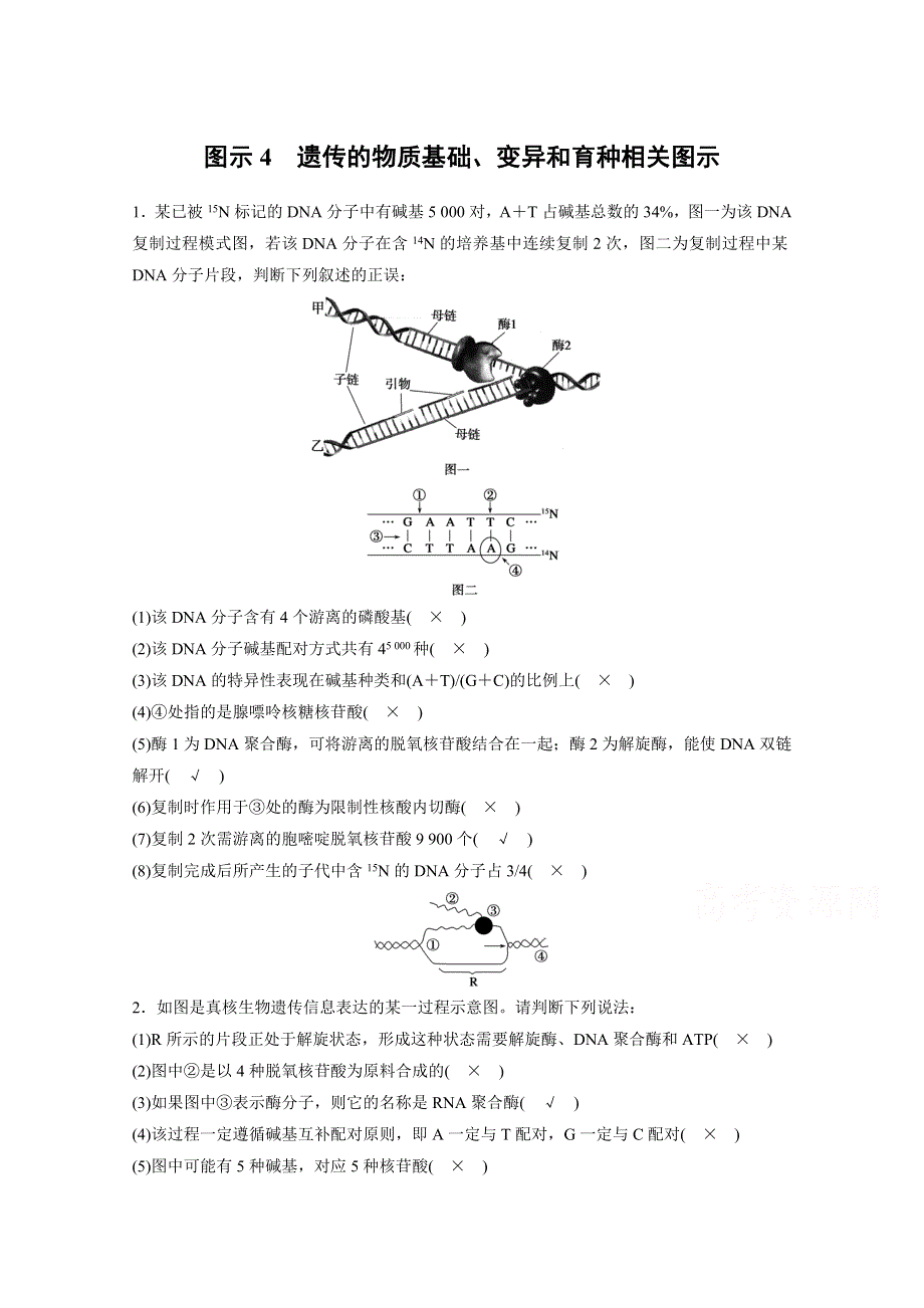 2015版高中生物人教版考前三个月 热点图示多维练图示4　遗传的物质基础、变异和育种相关图示.docx_第1页