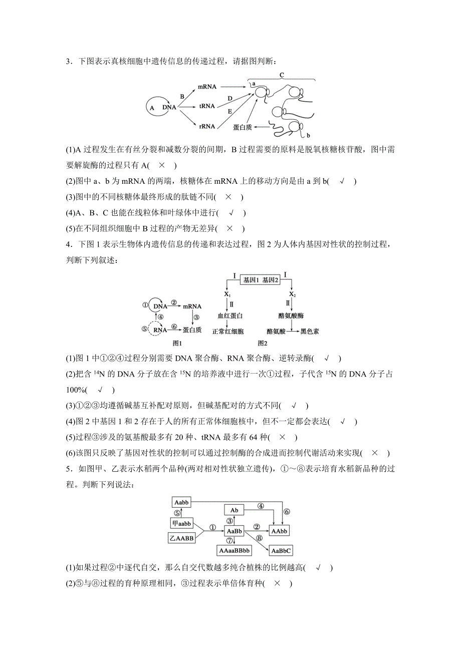 2015版高中生物人教版考前三个月 热点图示多维练图示4　遗传的物质基础、变异和育种相关图示.docx_第2页