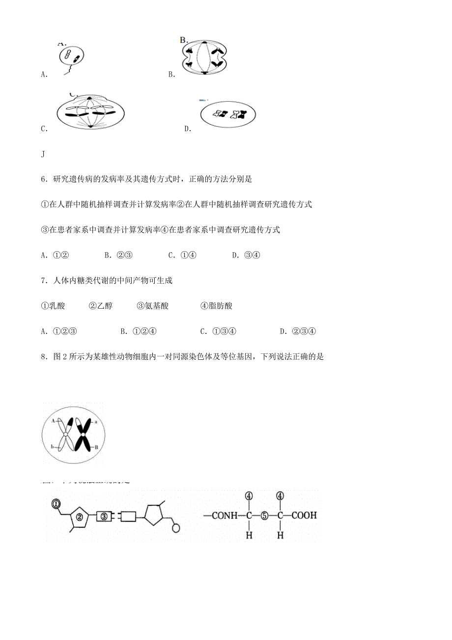 上海市金山区2021届高三生物上学期期末质量监控（一模）（12月）试题.doc_第2页