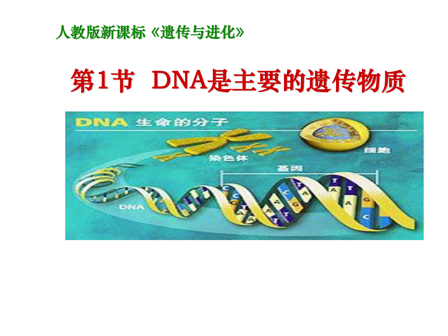 人教版生物必修二3-1《DNA是主要遗传物质》课件 （共26张PPT） .ppt_第1页