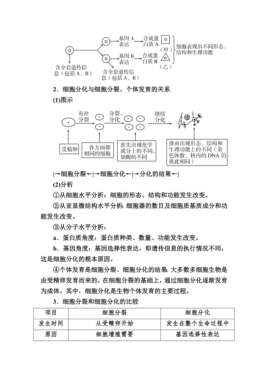 2019-2020学年新教材课标版生物必修一教师用书：6-2细胞的分化 WORD版含答案.docx_第3页