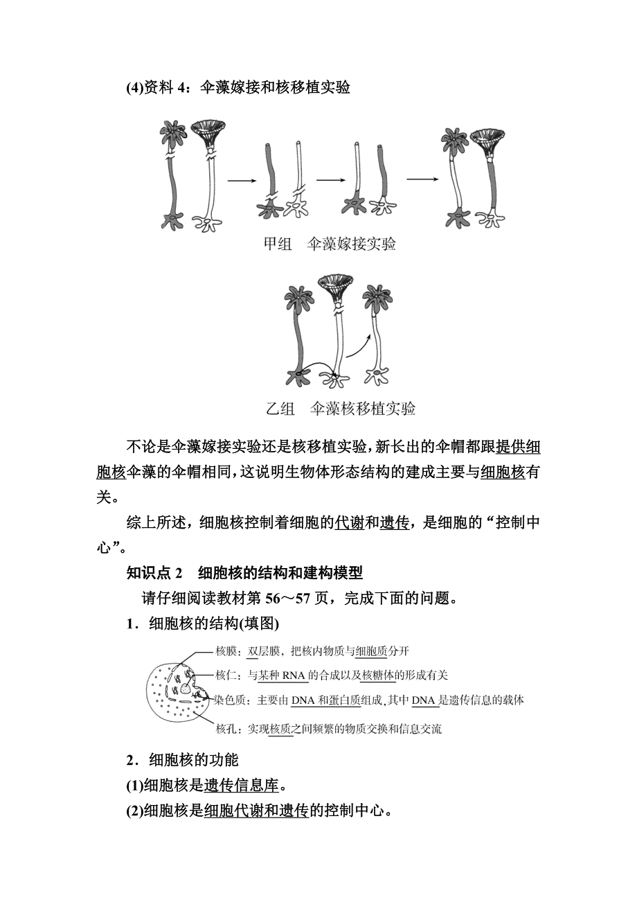 2019-2020学年新教材课标版生物必修一教师用书：3-3细胞核的结构和功能 WORD版含答案.docx_第3页