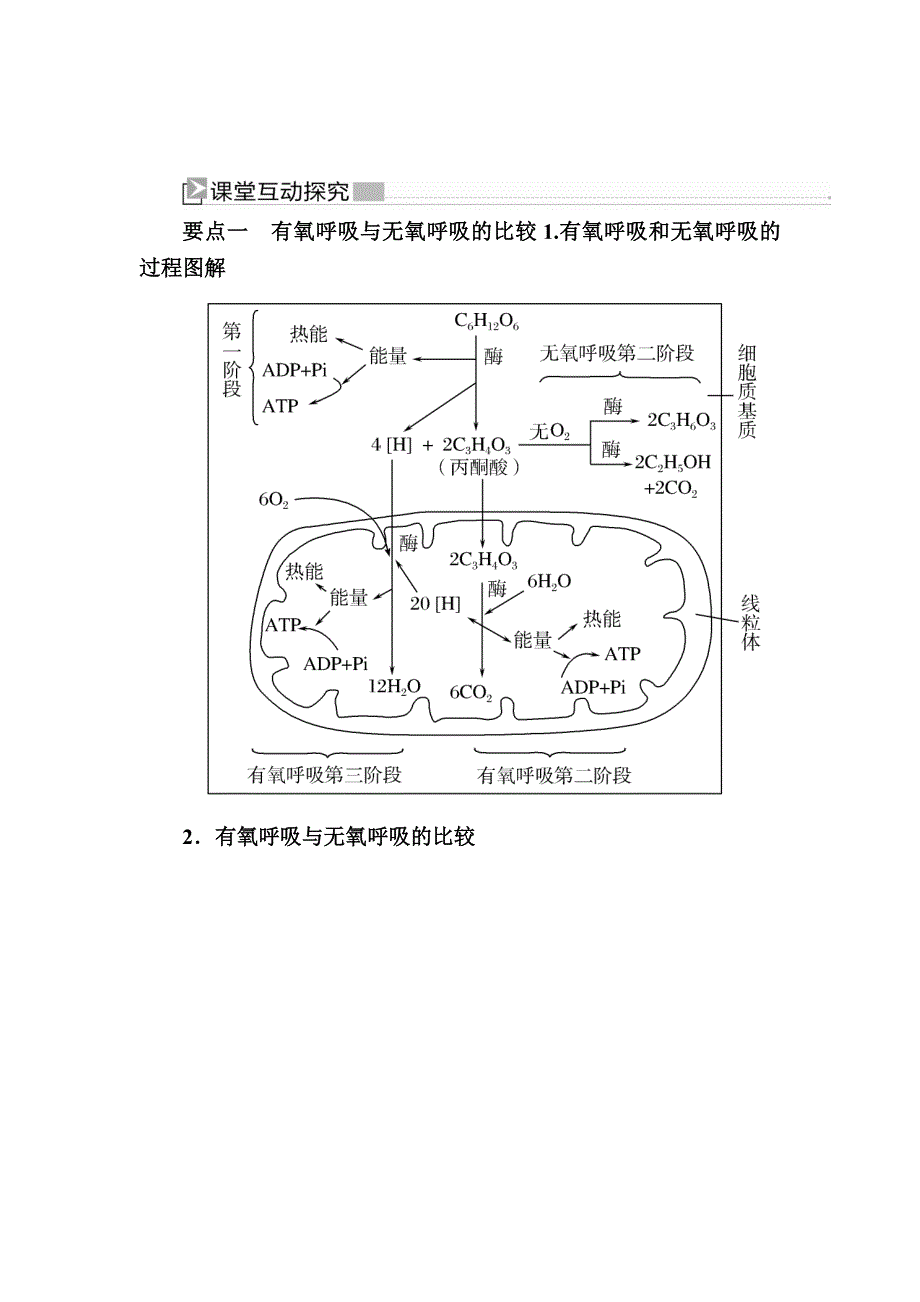 2019-2020学年新教材课标版生物必修一教师用书：5-3-2无氧呼吸及细胞呼吸原理的应用 WORD版含答案.docx_第3页