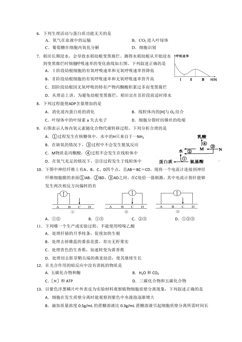 上海市闸北区2013届高三上学期期末教学质量调研生物试题 WORD版含答案.doc_第2页