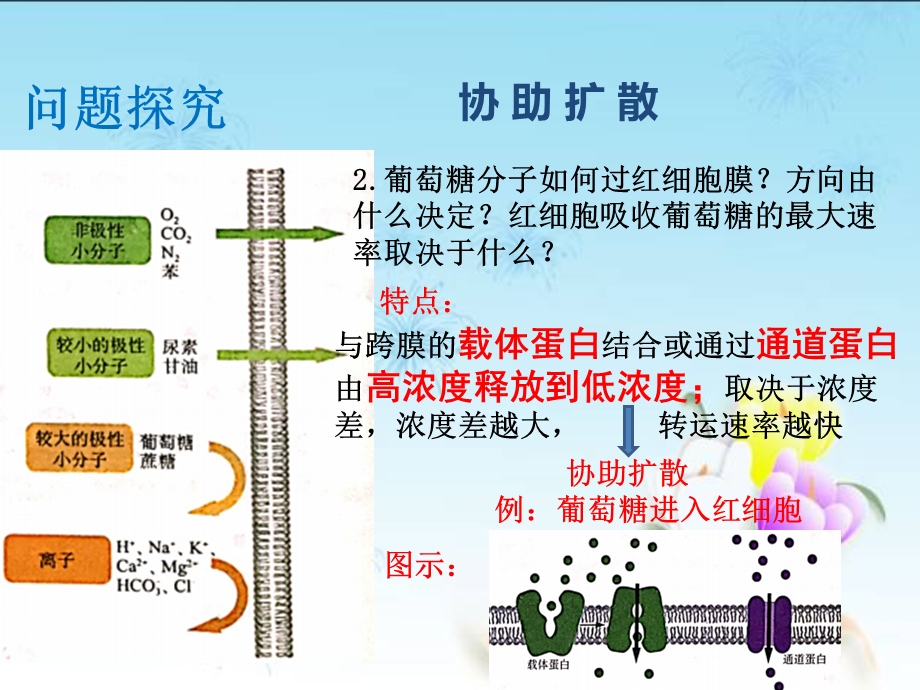 2020-2021学年北师大版（2019）高中生物必修一课件：第二章第一节 物质进出细胞的方式 （2）（共12张PPT） .ppt_第3页