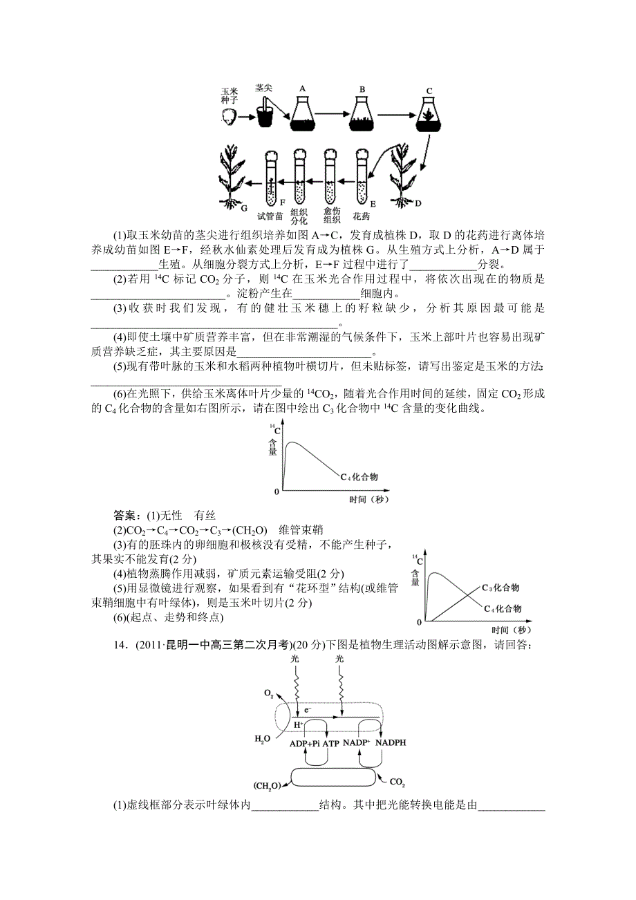 [原创]高中生物同步练习2-第三讲C3植物和C4植物.doc_第3页