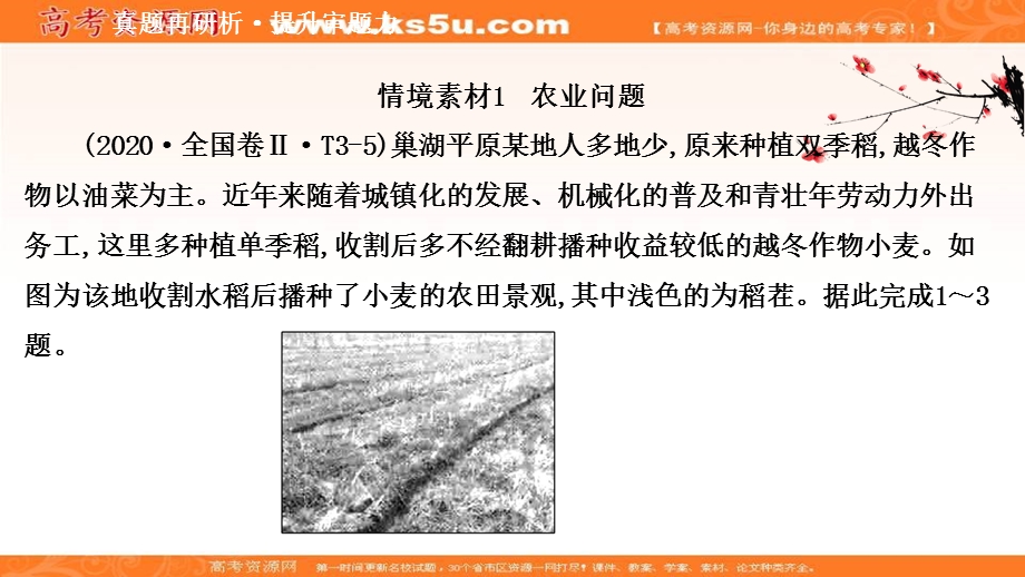 2021届新高考山东专用地理二轮考前复习课件：第四篇 情境6 三农问题 .ppt_第3页