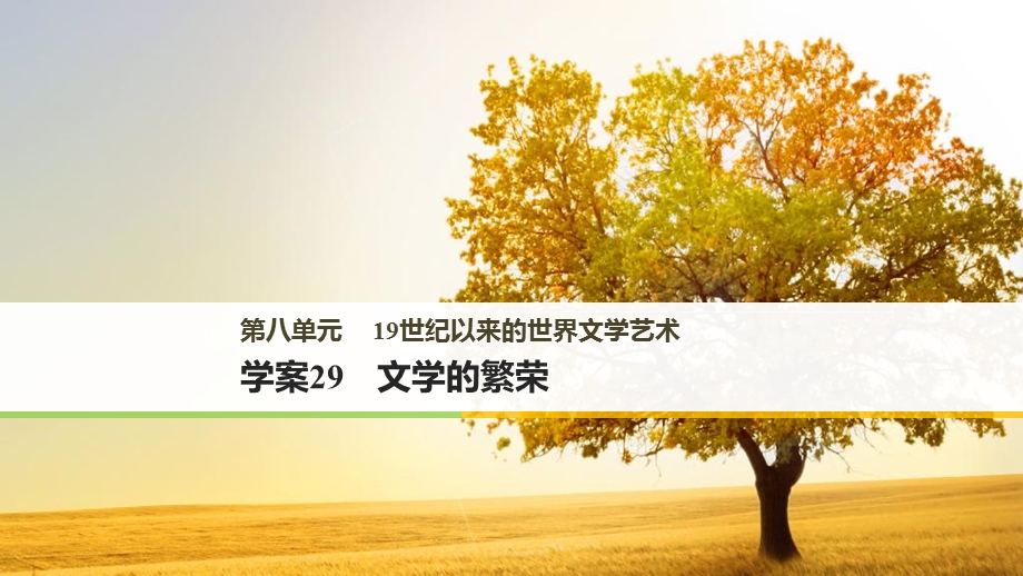 2017年秋高中历史人教版必修三课件：第八单元 19世纪以来的世界文学艺术 学案29 .ppt_第1页