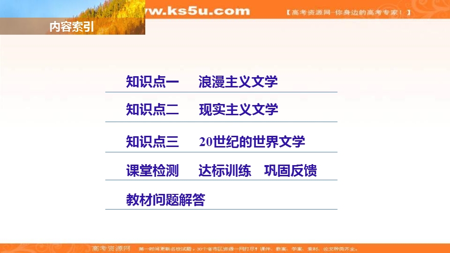 2017年秋高中历史人教版必修三课件：第八单元 19世纪以来的世界文学艺术 学案29 .ppt_第3页