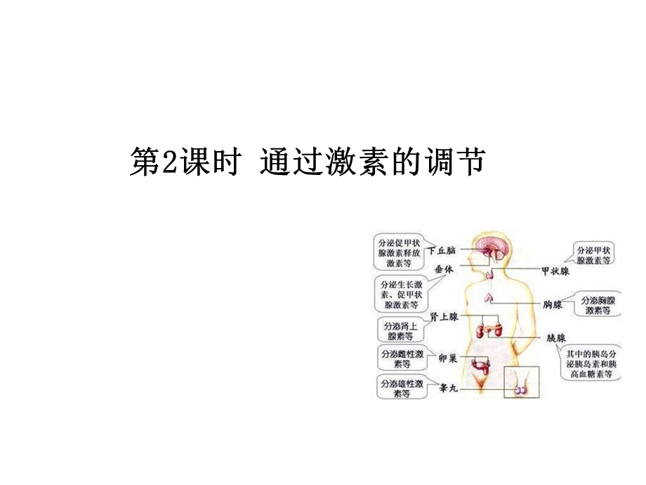 2015-2016学年高二人教版生物必修三课件：第2章 第2节 通过激素的调节 .ppt_第1页