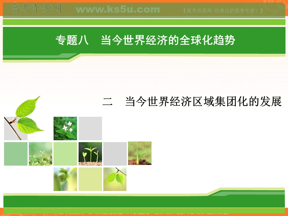 2018年历史同步优化指导（人民版必修2）课件：专题8-2 当今世界经济区域集团化的发展 .ppt_第1页