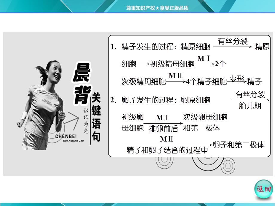 2016年《三维设计》同步课堂人教版选修3课件 第1部分 专题3 3-1 体内受精和早期胚胎发育.ppt_第3页