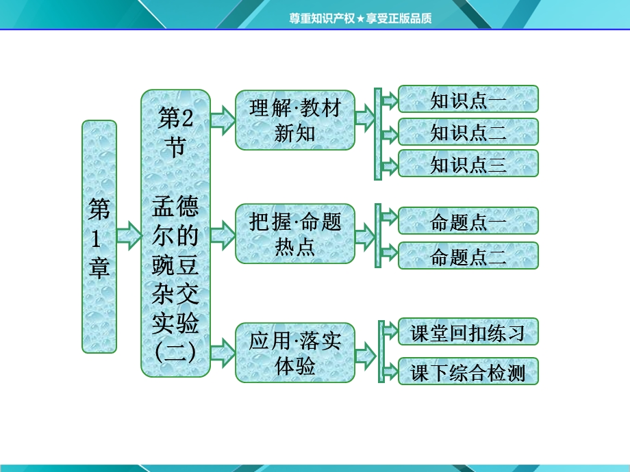 2016年《三维设计》人教版必修2课件 第1章 第2节 孟德尔胡豌豆杂交试验(二).ppt_第1页