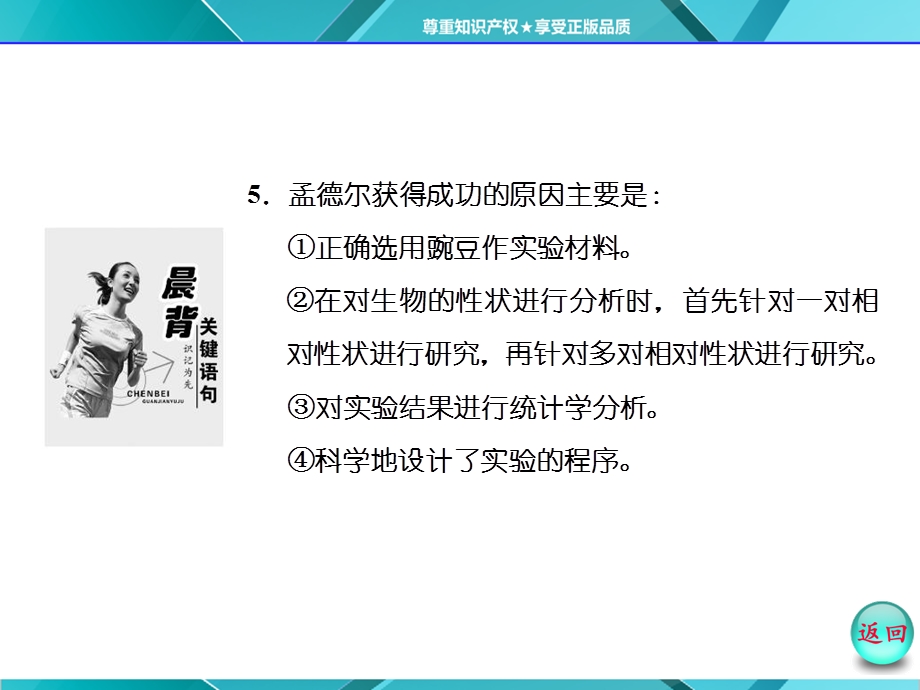 2016年《三维设计》人教版必修2课件 第1章 第2节 孟德尔胡豌豆杂交试验(二).ppt_第3页