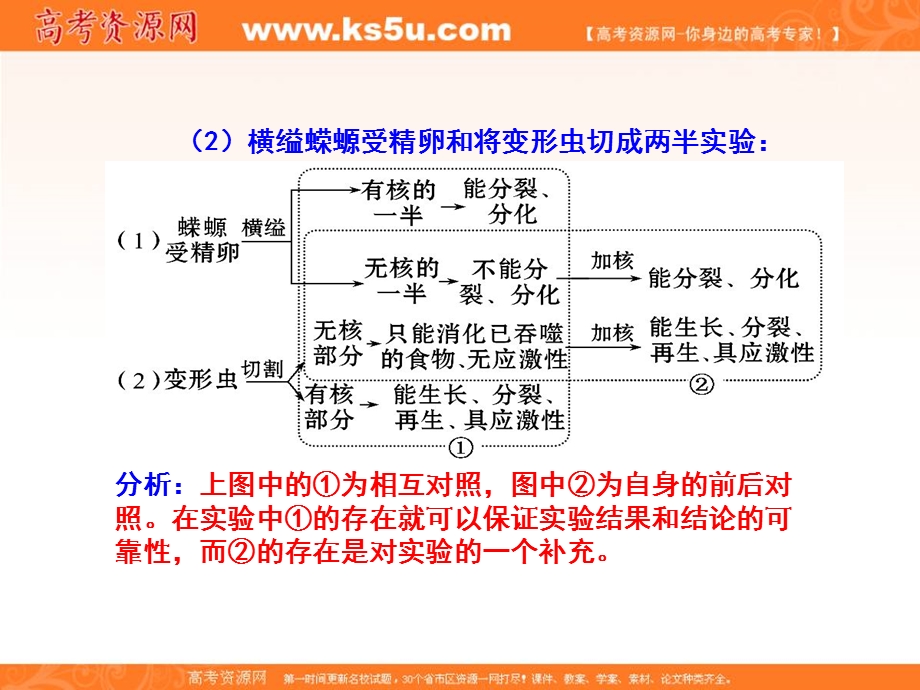 2017年高一生物必修1同步精品课堂（提升版）课件：专题3-3 细胞核---系统的控制中心 .ppt_第3页