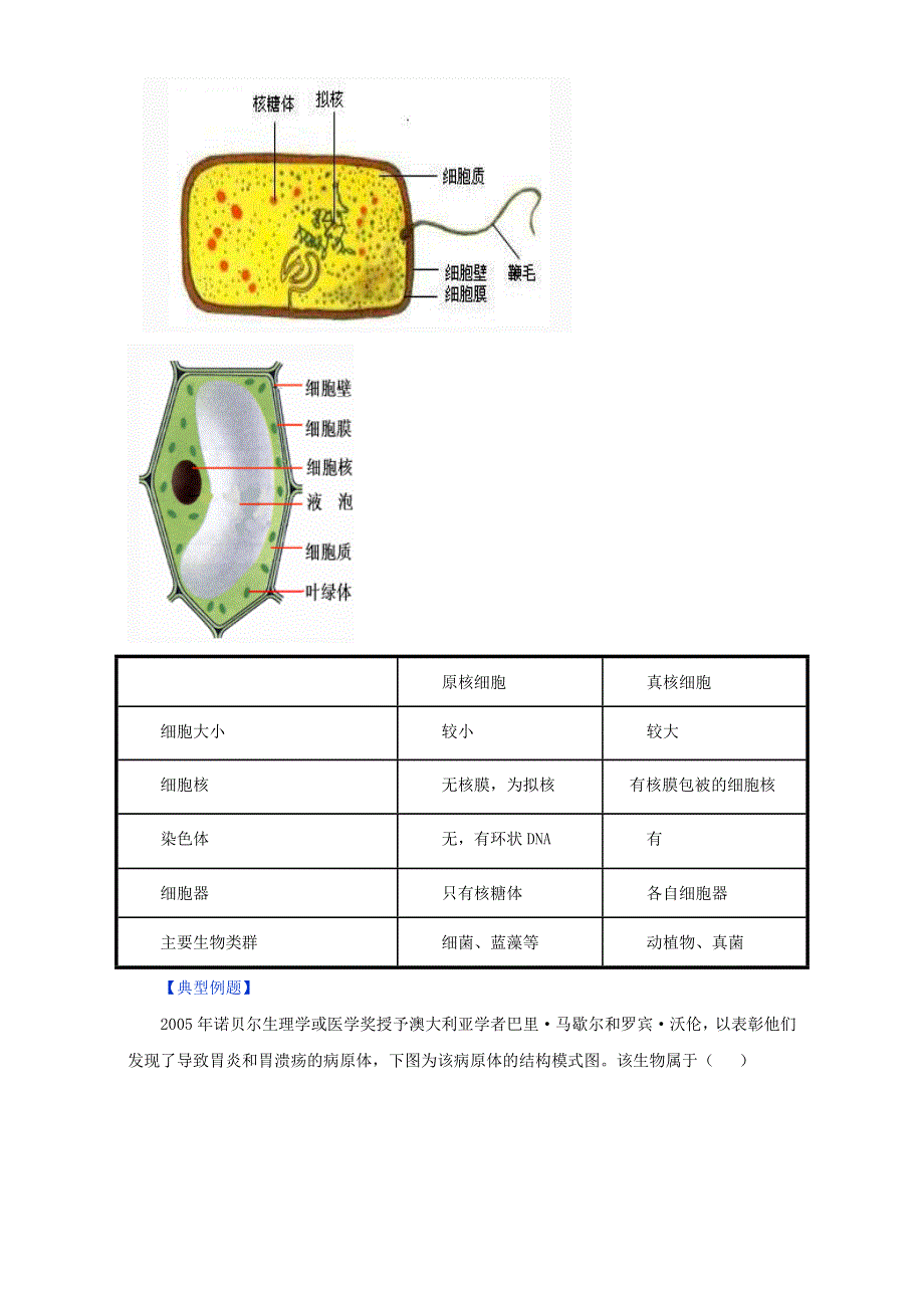 专题1.2 细胞的多样性和统一性（讲）-2016-2017学年高一生物同步精品课堂通用版（基础版）（必修1）（原卷版）WORD版无答案.doc_第3页