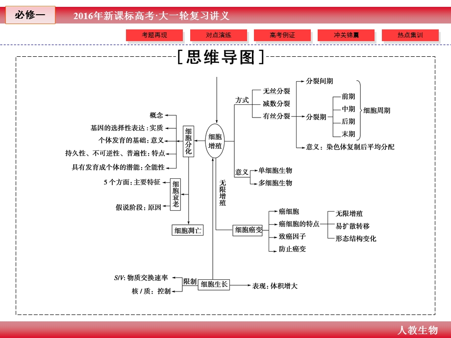 2016年《创新教程》高考生物大一轮（人教新课标）复习课件 小专题冲浪岛 4-6.ppt_第3页