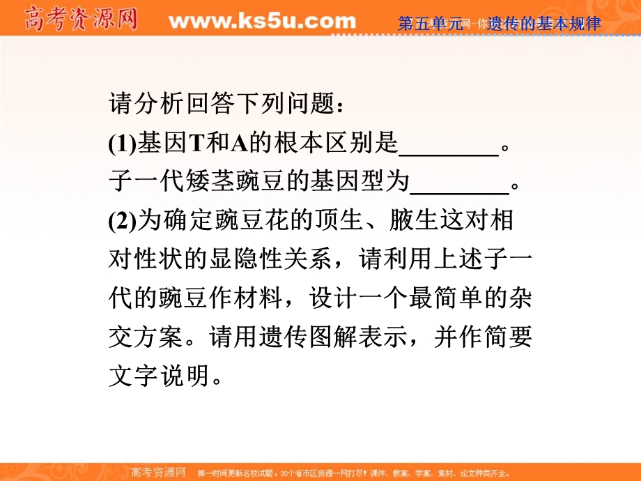 2013届高考浙科版生物一轮复习课件：高考热点集训（4）——遗传的基本规律.ppt_第3页