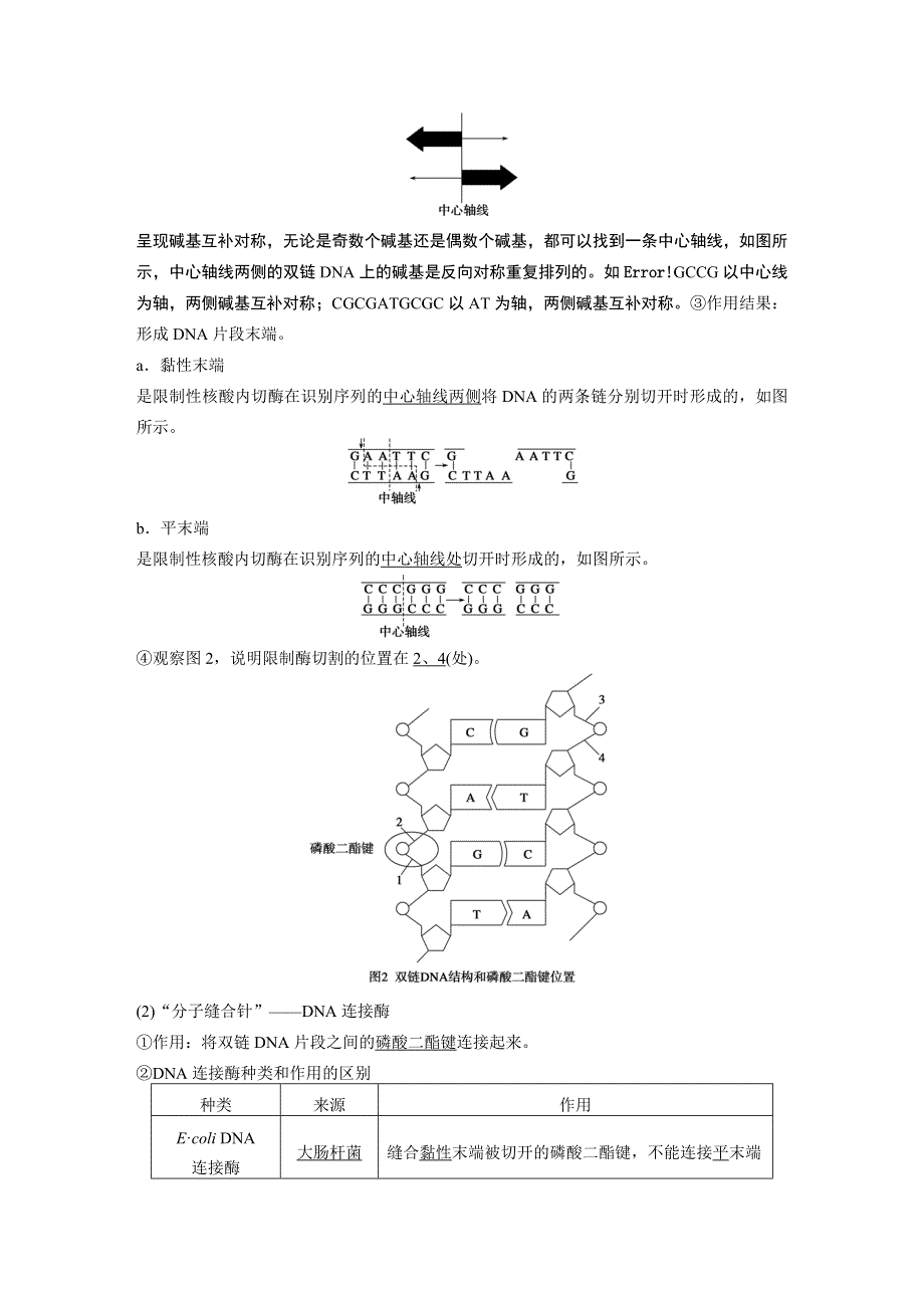 2015-2016学年高二生物人教版选修3学案与检测：专题1 第1课时 DNA重组技术的基本工具 WORD版含解析.docx_第3页