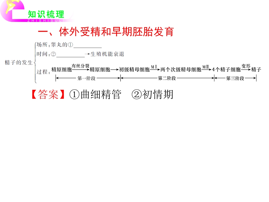 2012届高考复习生物课件（人教版湖南用）选修3_现代生物科技专题_第5讲_胚胎工程.ppt_第3页