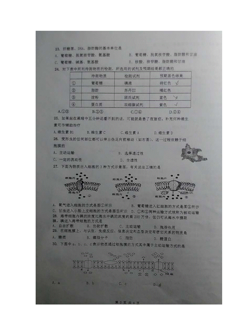 上海市莘庄中学2016-2017学年高一上学期期中考试生物试题 扫描版缺答案.doc_第3页