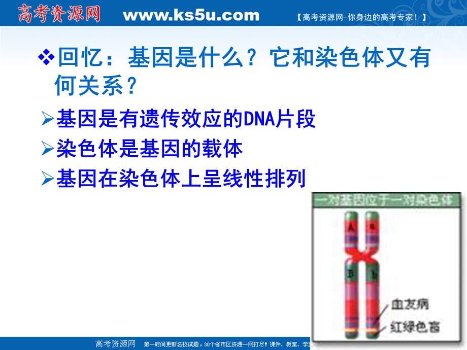 2017年高中生物人教版必修二 “同课异构”教学课件：5.ppt_第2页