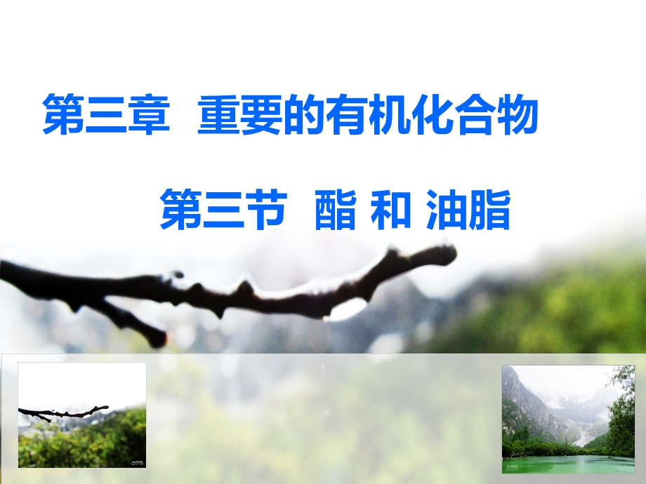 2021-2022学年高一化学鲁科版必修2教学课件：第三章第三节 3 酯和油脂 （3） .ppt_第2页