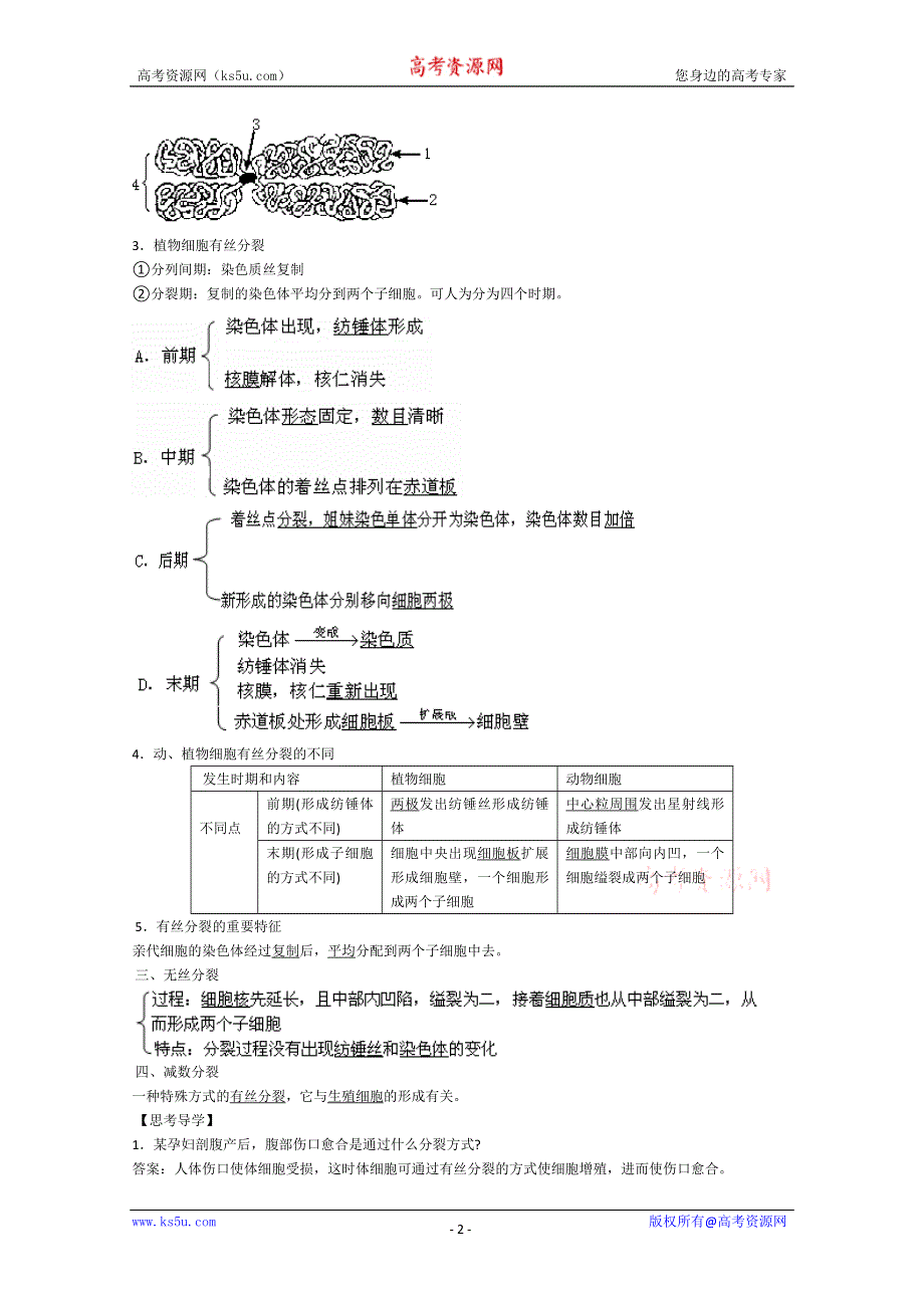 [旧人教]2012届高三生物二轮复习2 细胞增殖2.doc_第2页