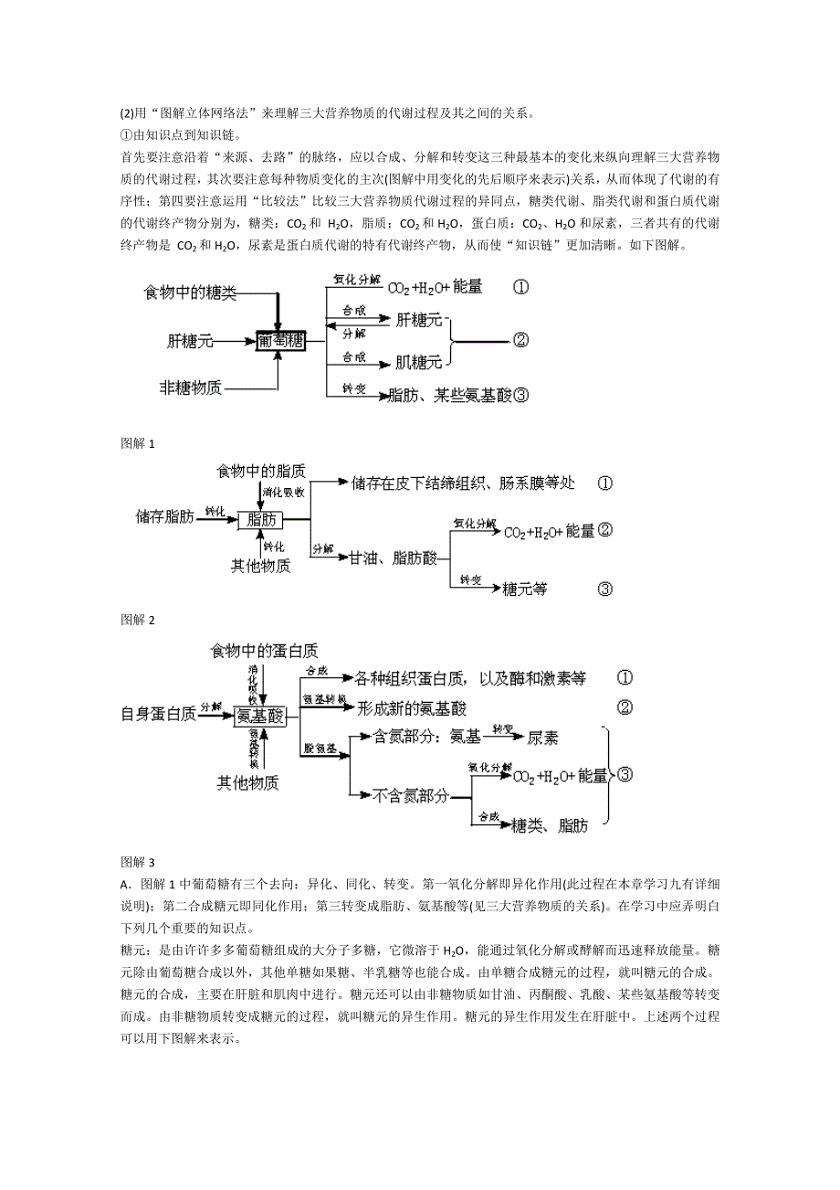 [旧人教]2012届高三生物二轮复习3 人和动物体内三大营养物质的代谢.doc_第2页