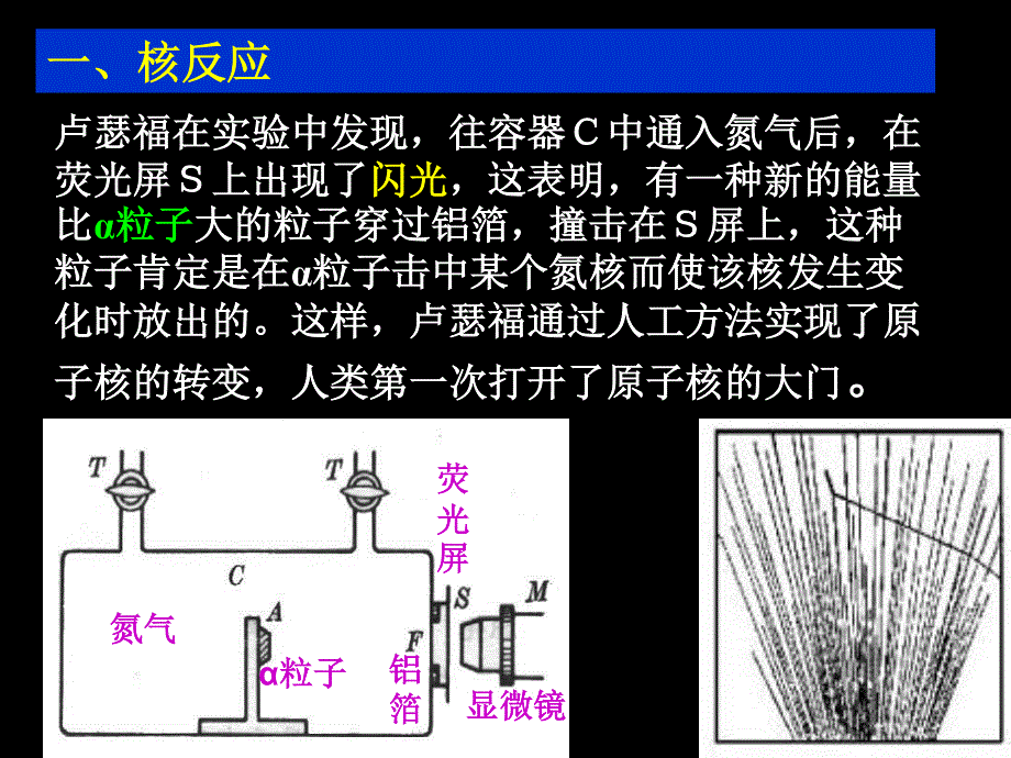 19.4《 放射性的应用与防护》课件-新人教选修3-5.ppt_第2页