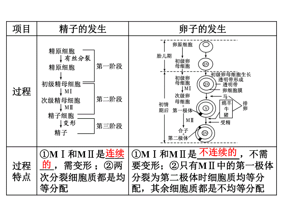 2017版三维设计（练酷版）高三生物一轮复习课件：选修3 第3讲 胚胎工程及生物技术的安全性和伦理问题 .ppt_第3页