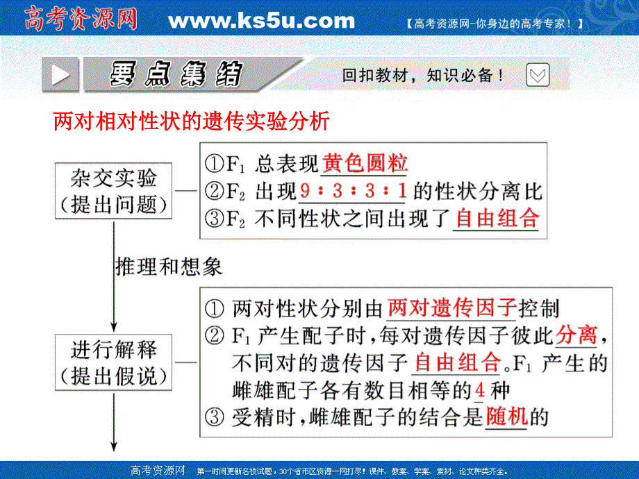 2012届高考生物一轮复习精品课件 必修二 第七章 第2节孟德尔的豌豆杂交试验（二）（人教版）.ppt_第3页