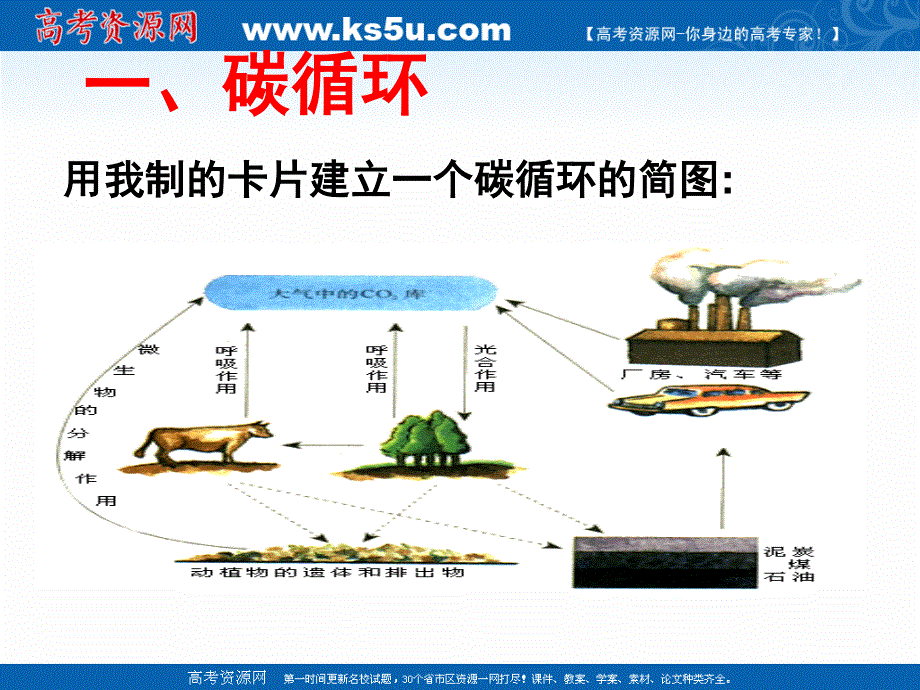 2021-2022学年高一生物人教版必修3教学课件：第五章 第3节　生态系统的物质循环 （4） .ppt_第3页