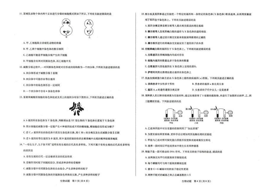 安徽省合肥市第六中学2020-2021学年高一下学期期中考试生物试题 PDF版含答案.pdf_第2页