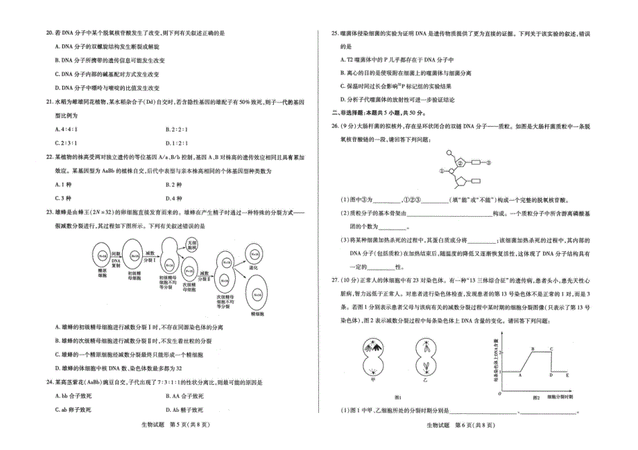 安徽省合肥市第六中学2020-2021学年高一下学期期中考试生物试题 PDF版含答案.pdf_第3页